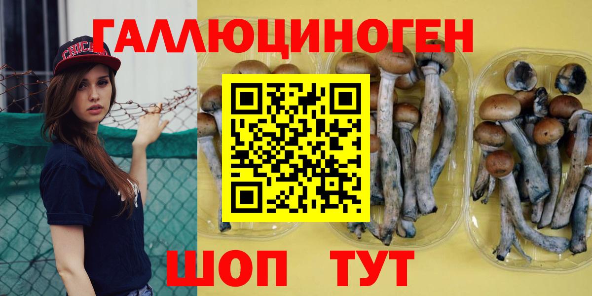 Псилоцибиновые грибы мицелий  Псилоцибиновые грибы GOLDEN TEACHER  Вход с VPN  наркошоп  Павловский Посад 