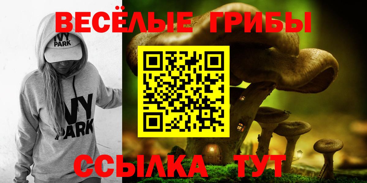 Псилоцибиновые грибы ЛСД Павловский Посад